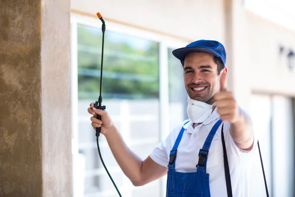 Rowlett Wasp Removal