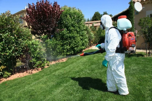 Rowlett Mosquito Control