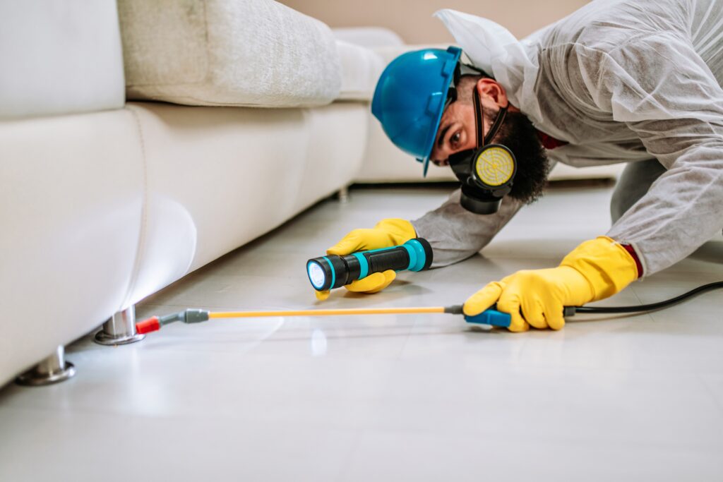 Rowlett Termite Control