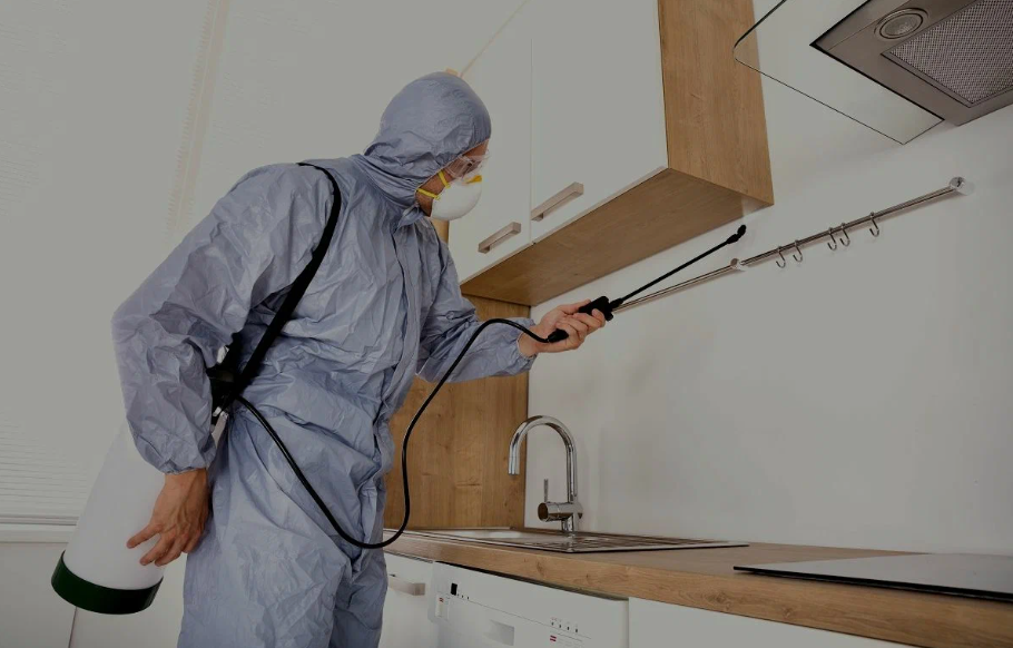 Rowlett pest managment